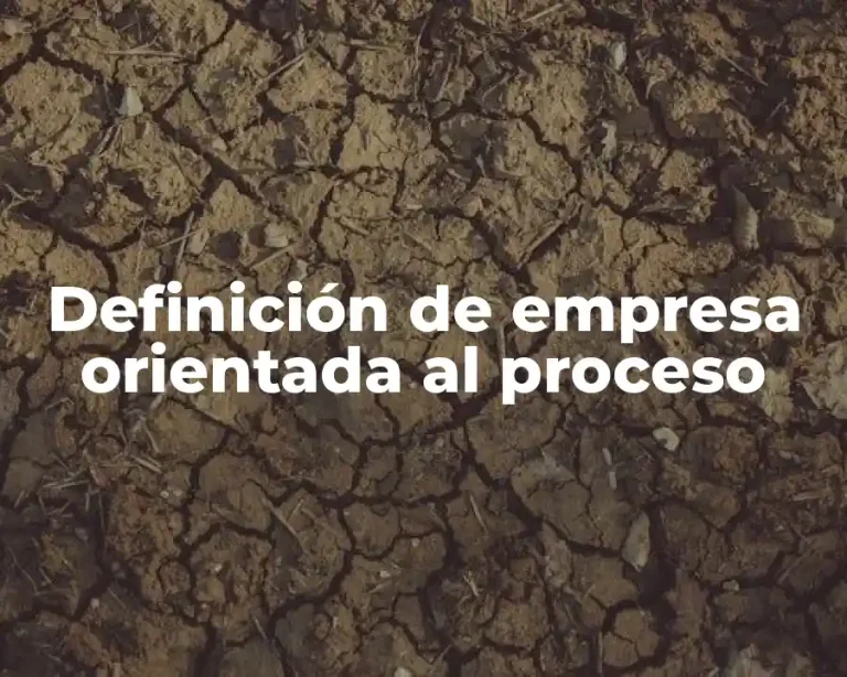 Definición de empresa orientada al proceso