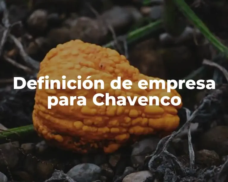 Definición de empresa para Chavenco