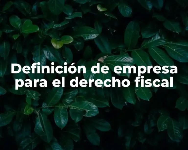 Definición de empresa para el derecho fiscal