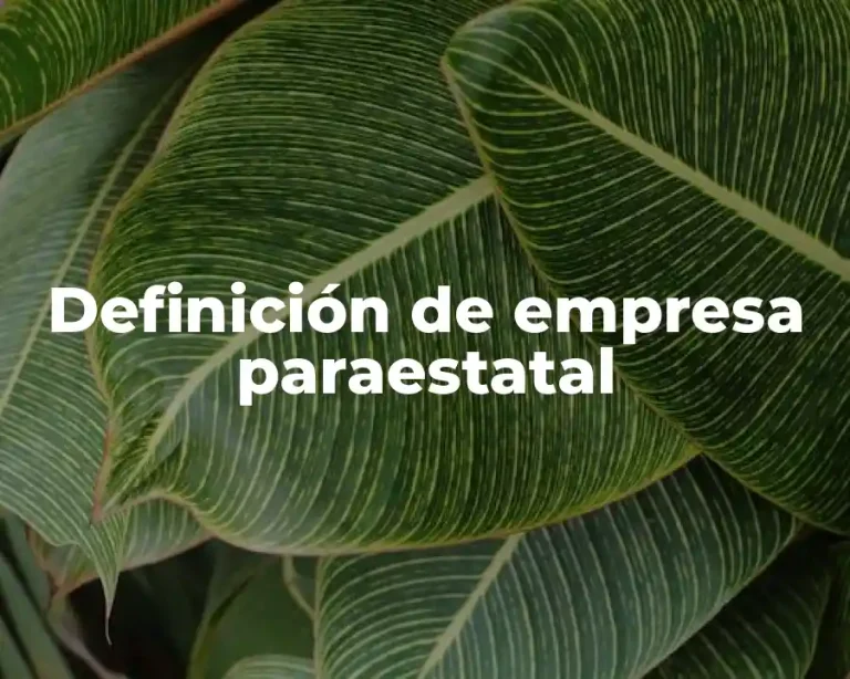 Definición de empresa paraestatal