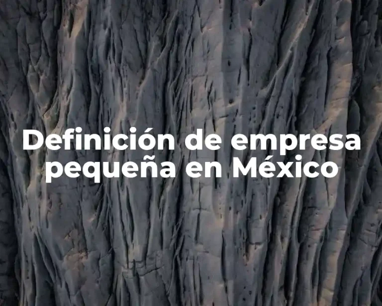Definición de empresa pequeña en México