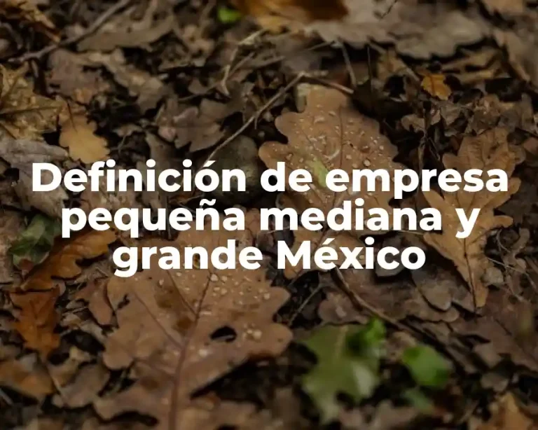Definición de empresa pequeña mediana y grande México