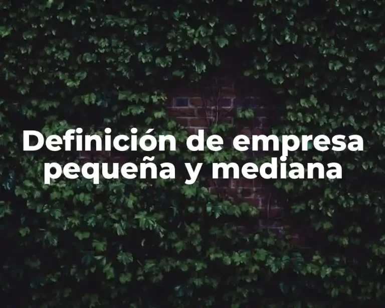 Definición de empresa pequeña y mediana