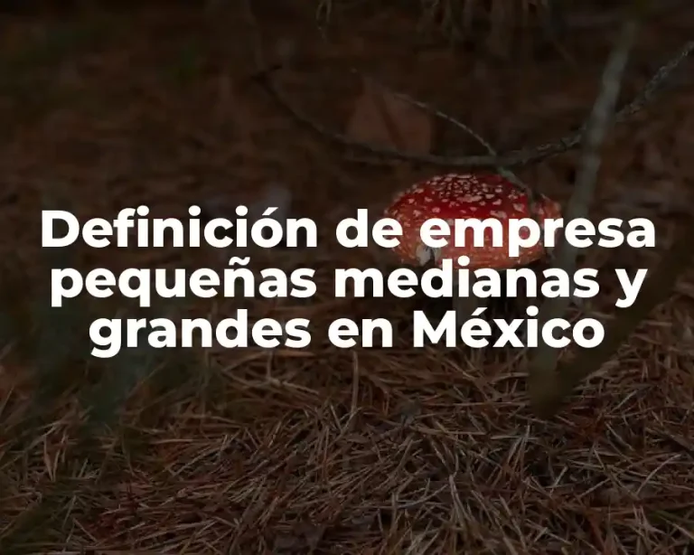 Definición de empresa pequeñas medianas y grandes en México