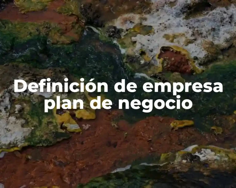 Definición de empresa plan de negocio