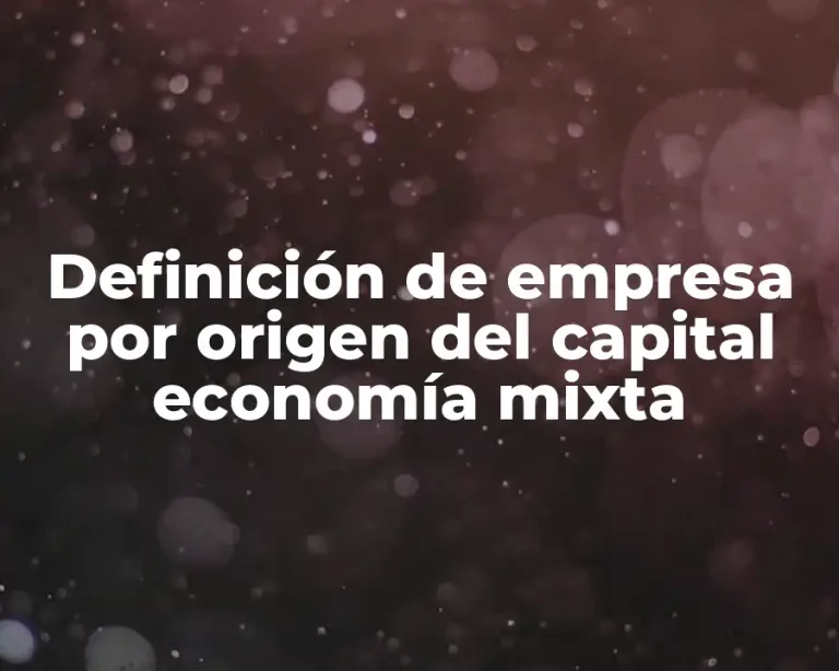 Definición de empresa por origen del capital economía mixta