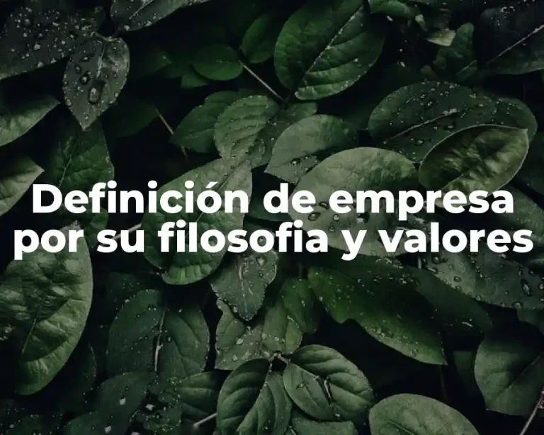 Definición de empresa por su filosofia y valores