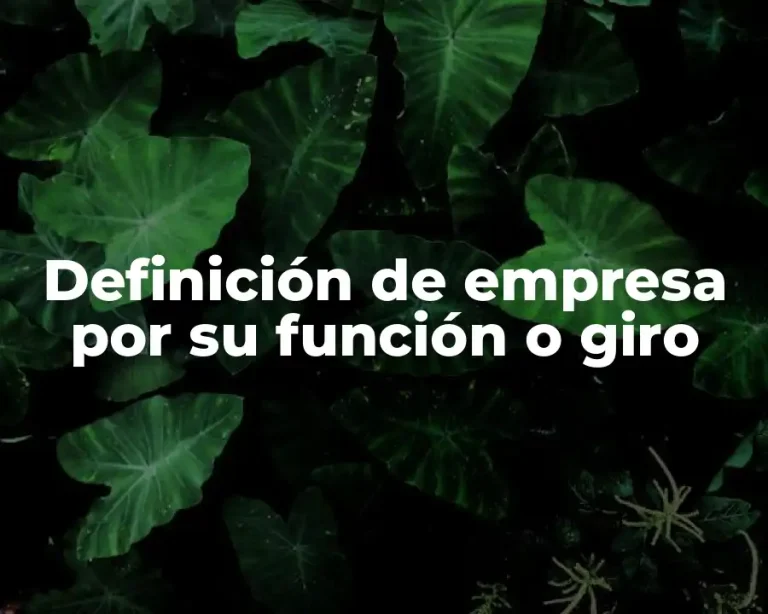 Definición de empresa por su función o giro