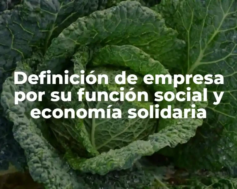 Definición de empresa por su función social y economía solidaria