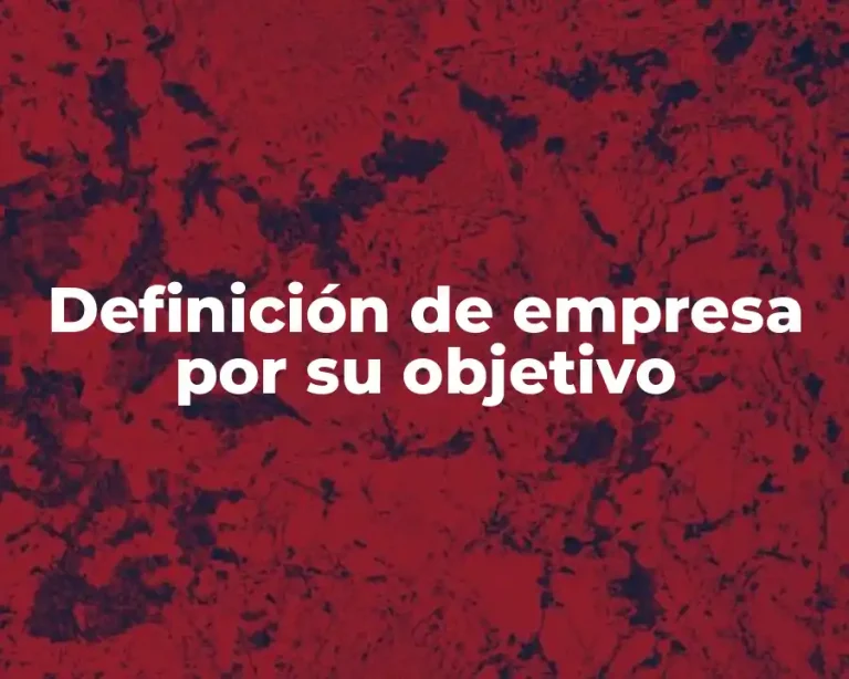 Definición de empresa por su objetivo