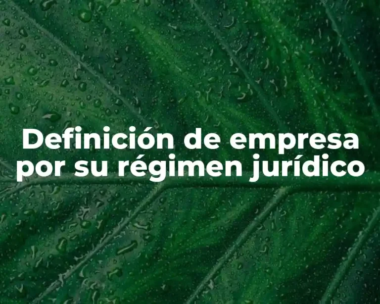 Definición de empresa por su régimen jurídico