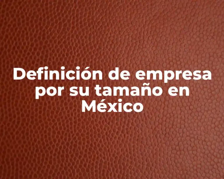 Definición de empresa por su tamaño en México