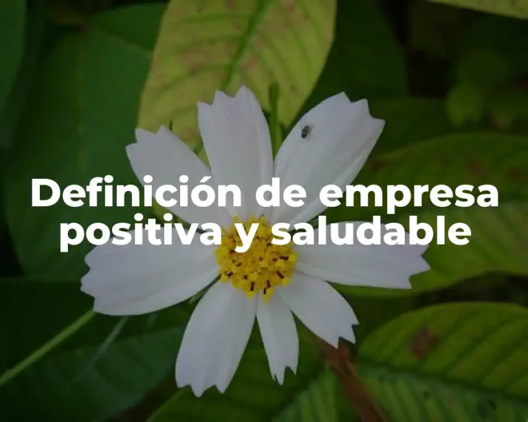 Definición de empresa positiva y saludable