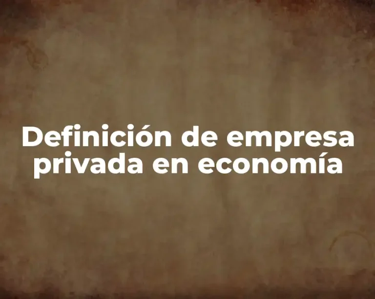 Definición de empresa privada en economía