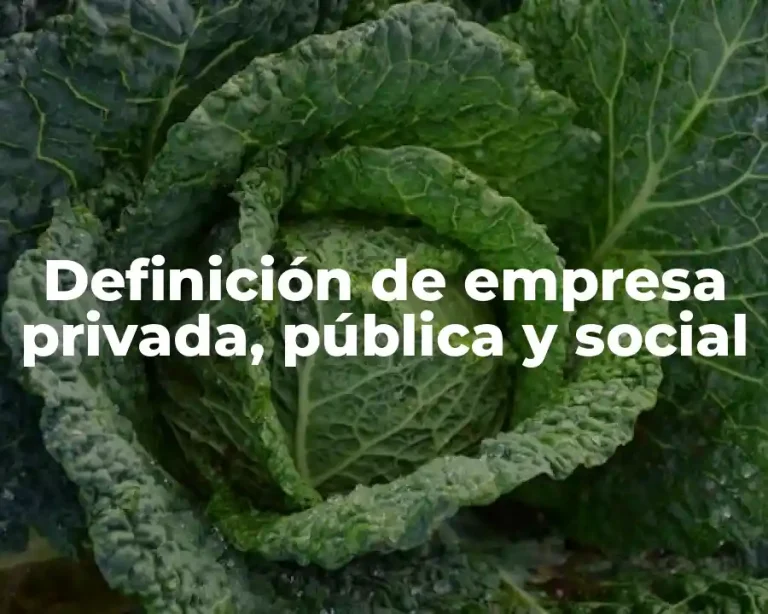 Definición de empresa privada, pública y social