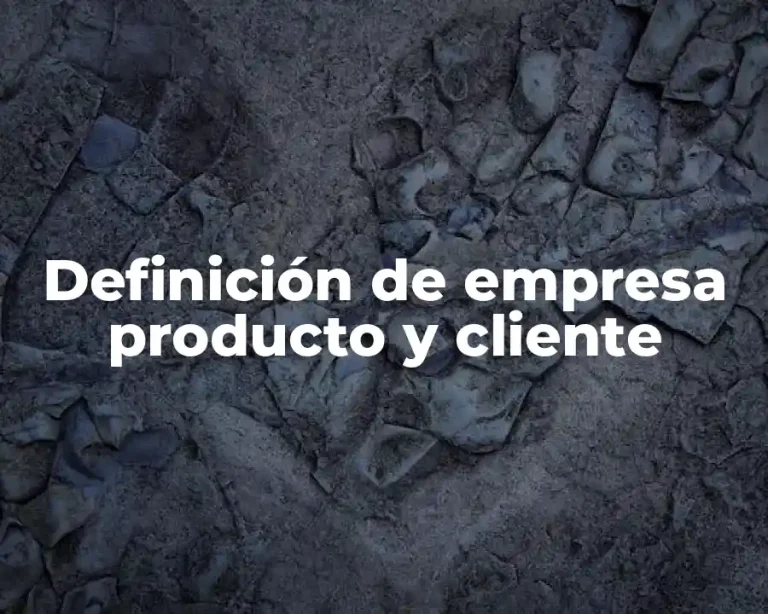 Definición de empresa producto y cliente