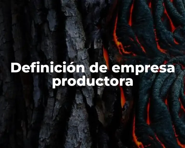 Definición de empresa productora