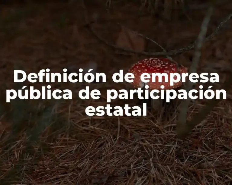 Definición de empresa pública de participación estatal