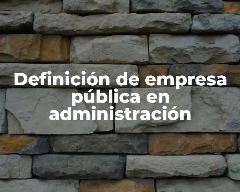 Definición de empresa pública en administración
