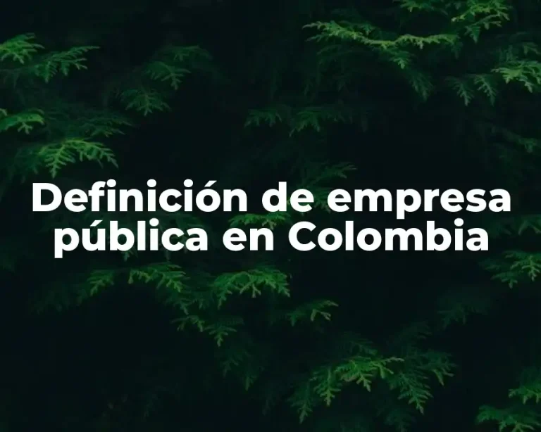 Definición de empresa pública en Colombia