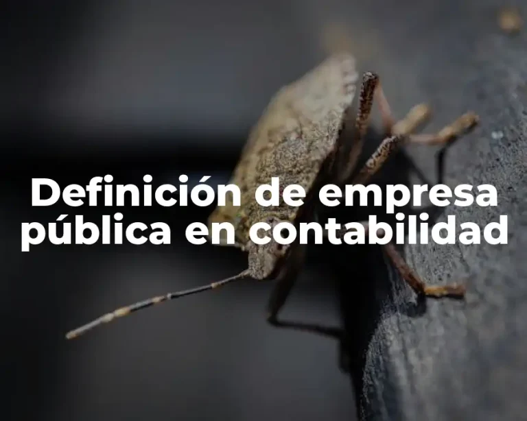 Definición de empresa pública en contabilidad