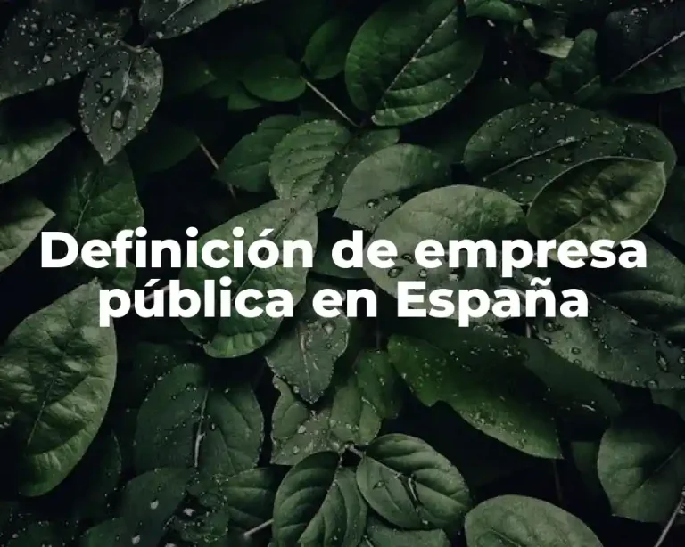Definición de empresa pública en España
