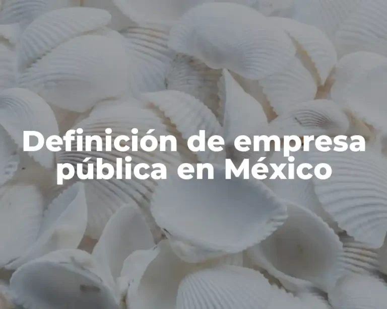 Definición de empresa pública en México