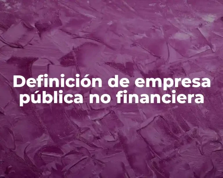 Definición de empresa pública no financiera