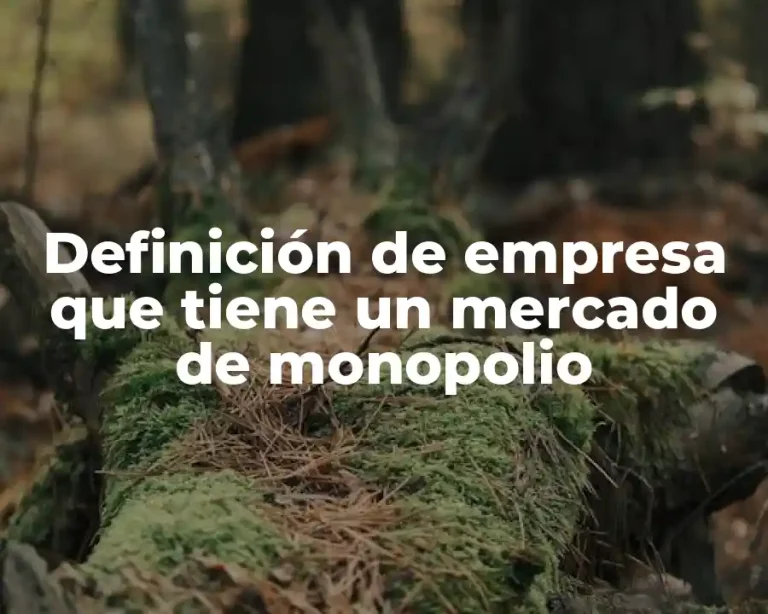 Definición de empresa que tiene un mercado de monopolio