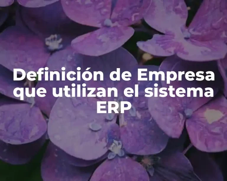Definición de Empresa que utilizan el sistema ERP