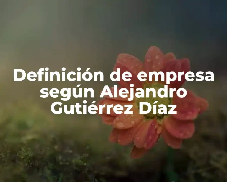 Definición de empresa según Alejandro Gutiérrez Díaz