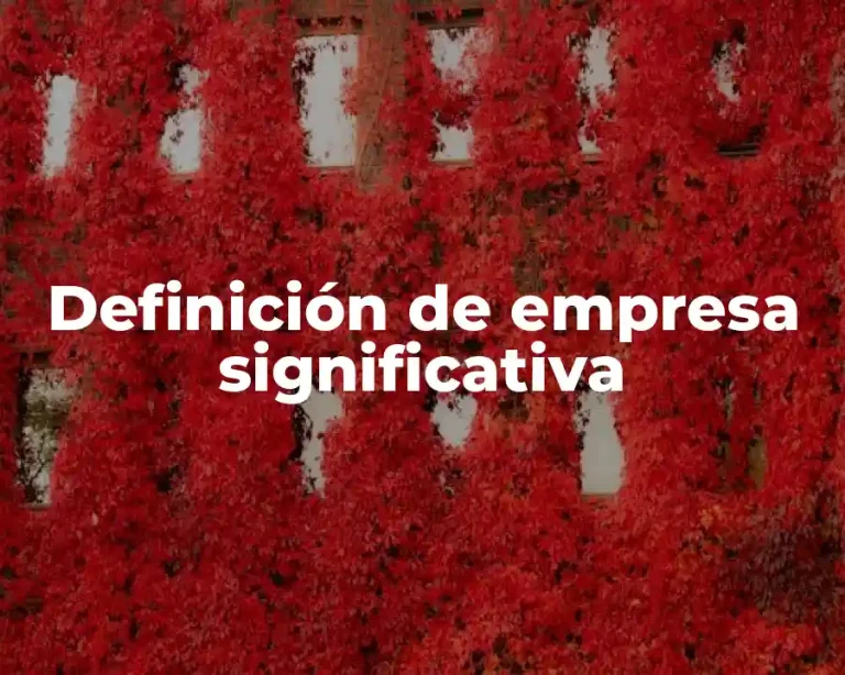 Definición de empresa significativa