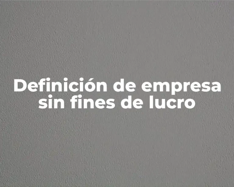 Definición de empresa sin fines de lucro