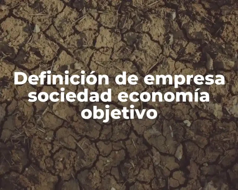 Definición de empresa sociedad economía objetivo