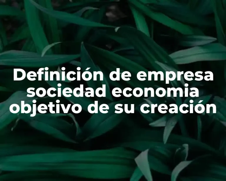 Definición de empresa sociedad economia objetivo de su creación