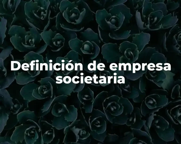 Definición de empresa societaria