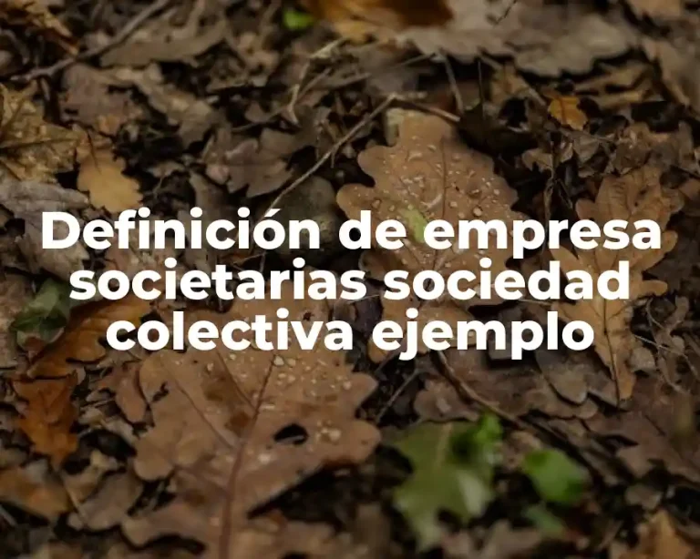 Definición de empresa societarias sociedad colectiva ejemplo