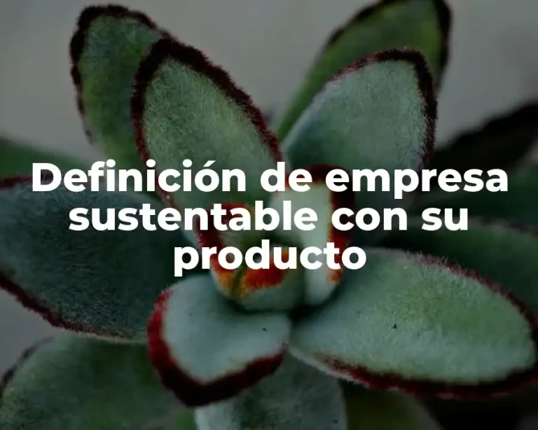 Definición de empresa sustentable con su producto