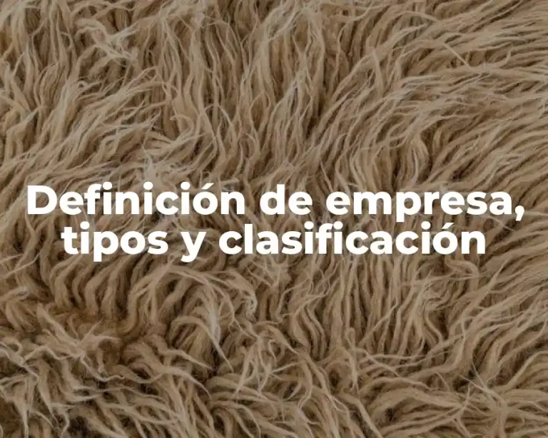 Definición de empresa, tipos y clasificación