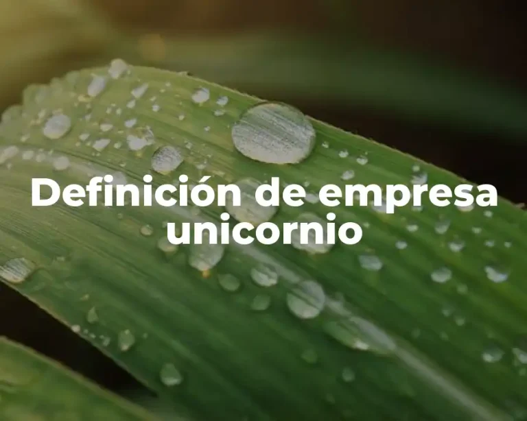 Definición de empresa unicornio