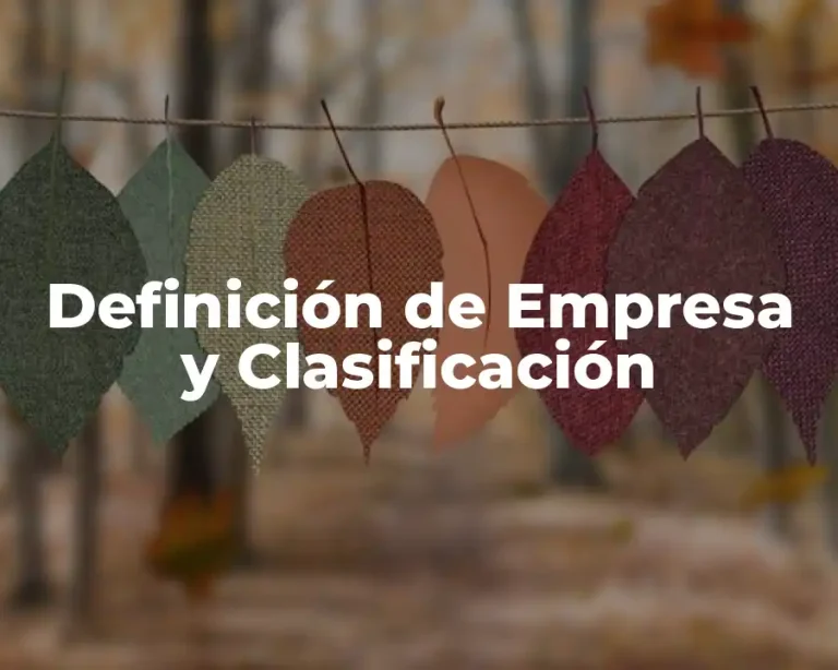 Definición de Empresa y Clasificación