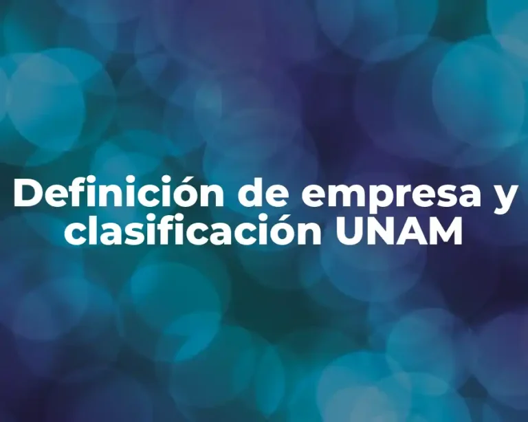 Definición de empresa y clasificación UNAM