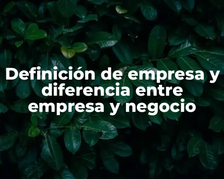 Definición de empresa y diferencia entre empresa y negocio