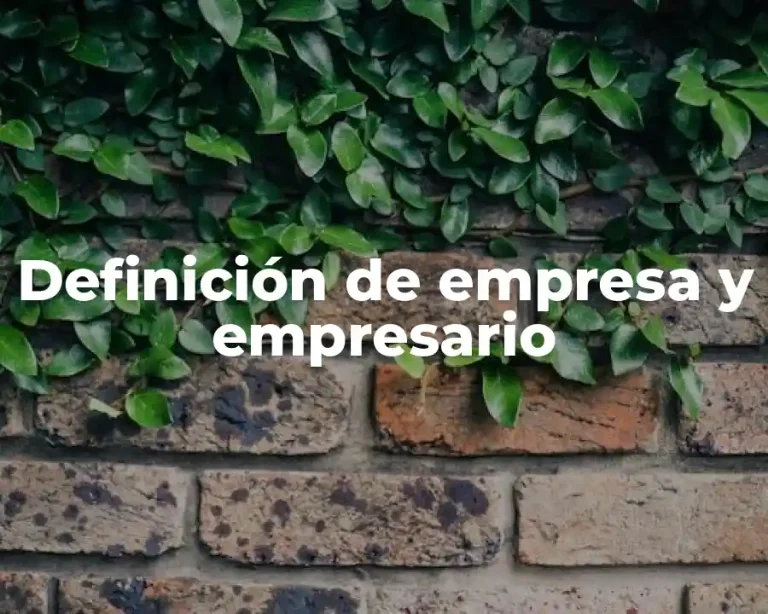 Definición de empresa y empresario
