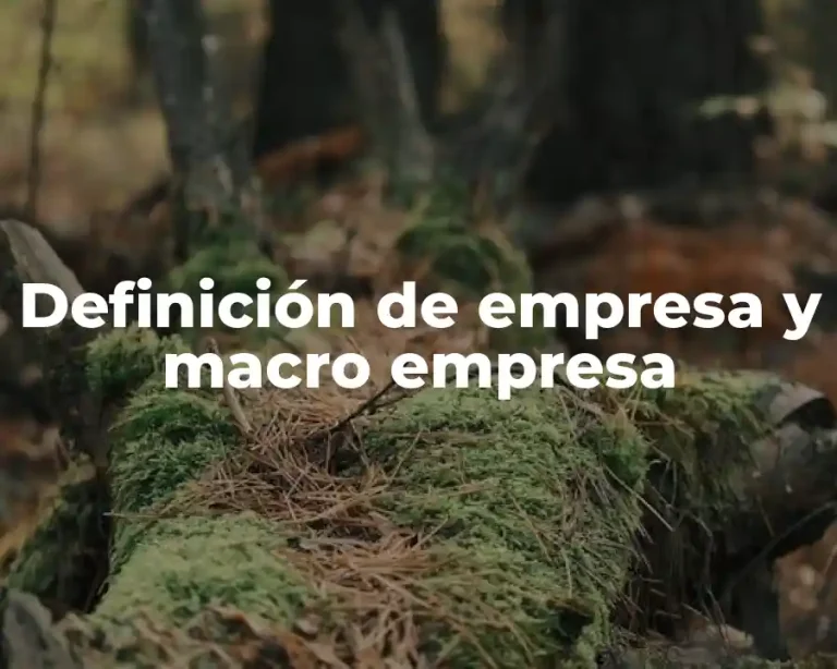 Definición de empresa y macro empresa