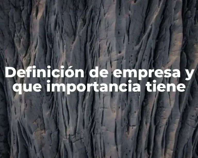 Definición de empresa y que importancia tiene