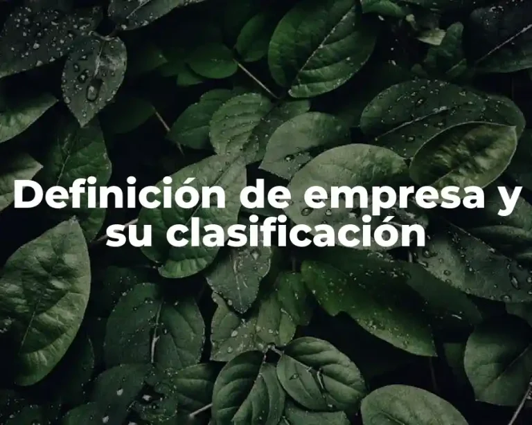 Definición de empresa y su clasificación