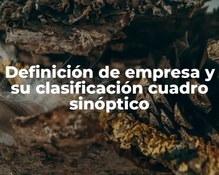 Definición de empresa y su clasificación cuadro sinóptico
