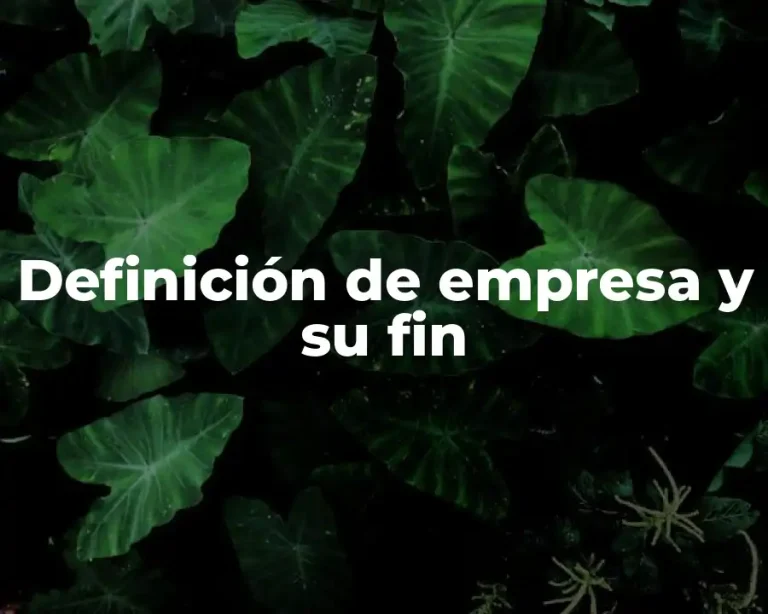 Definición de empresa y su fin