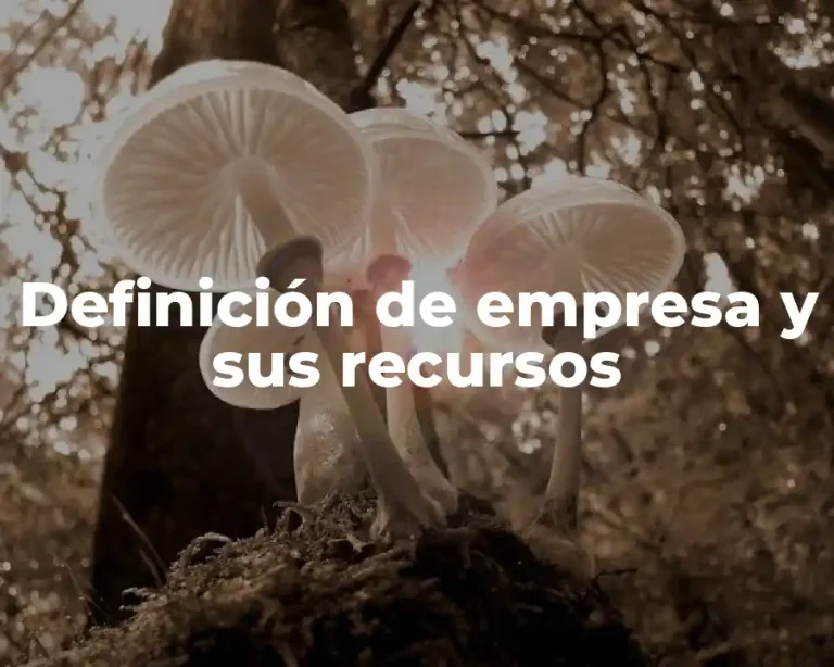 Definición de empresa y sus recursos